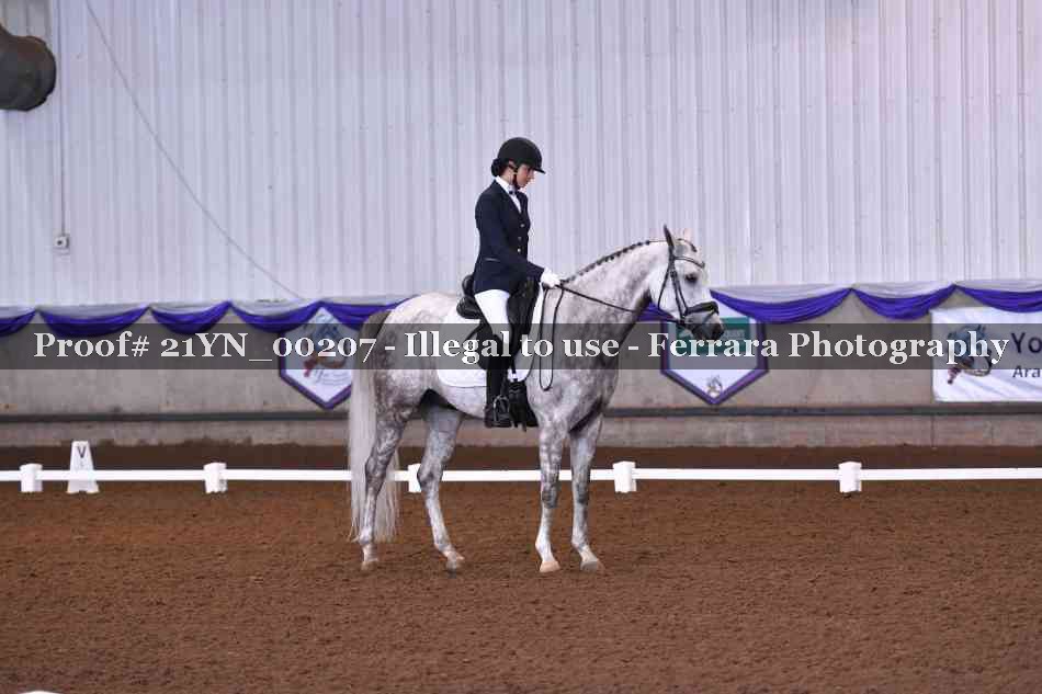 Proof 21YN_00207