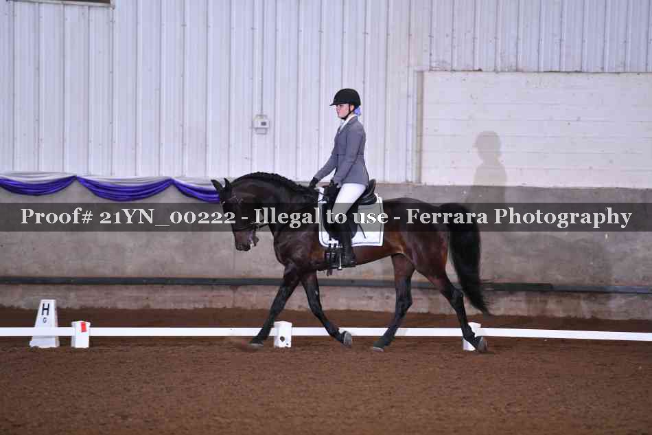 Proof 21YN_00222