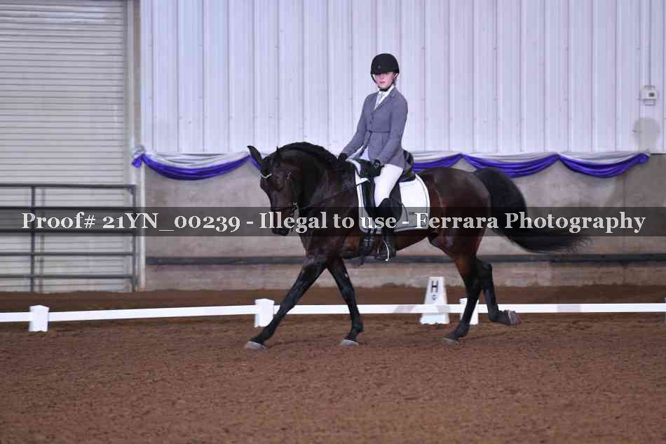 Proof 21YN_00239