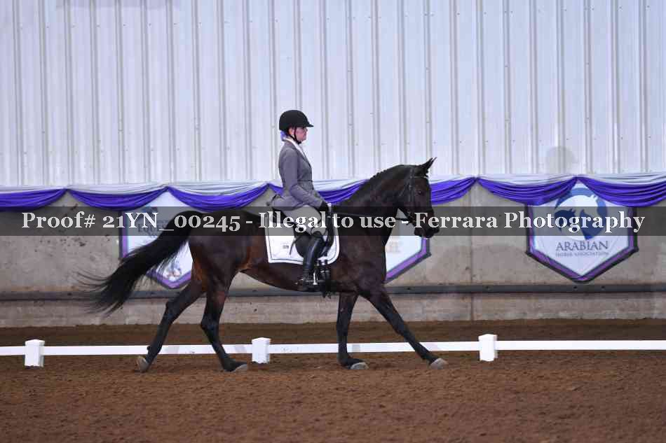 Proof 21YN_00245