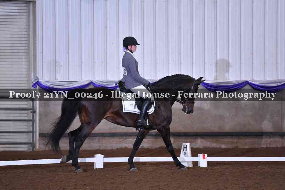 Proof 21YN_00246