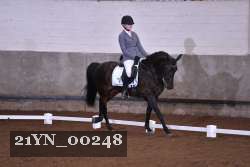 21YN_00248 proof