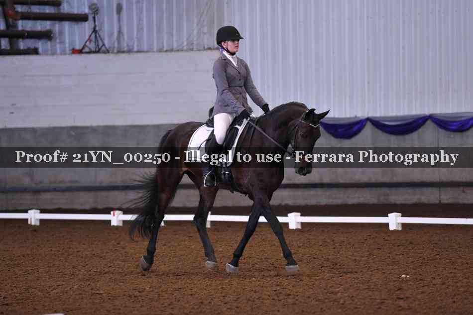 Proof 21YN_00250