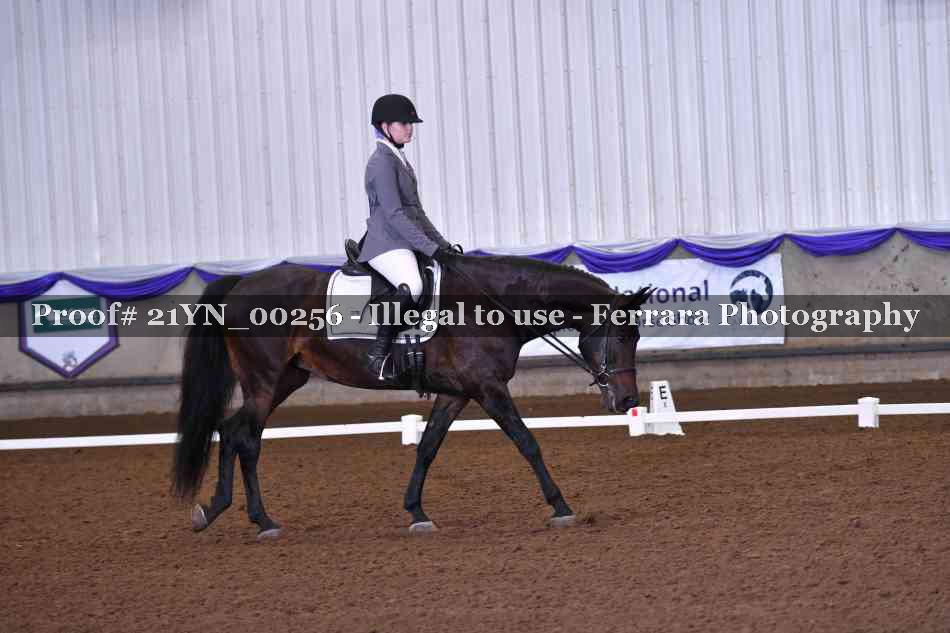 Proof 21YN_00256