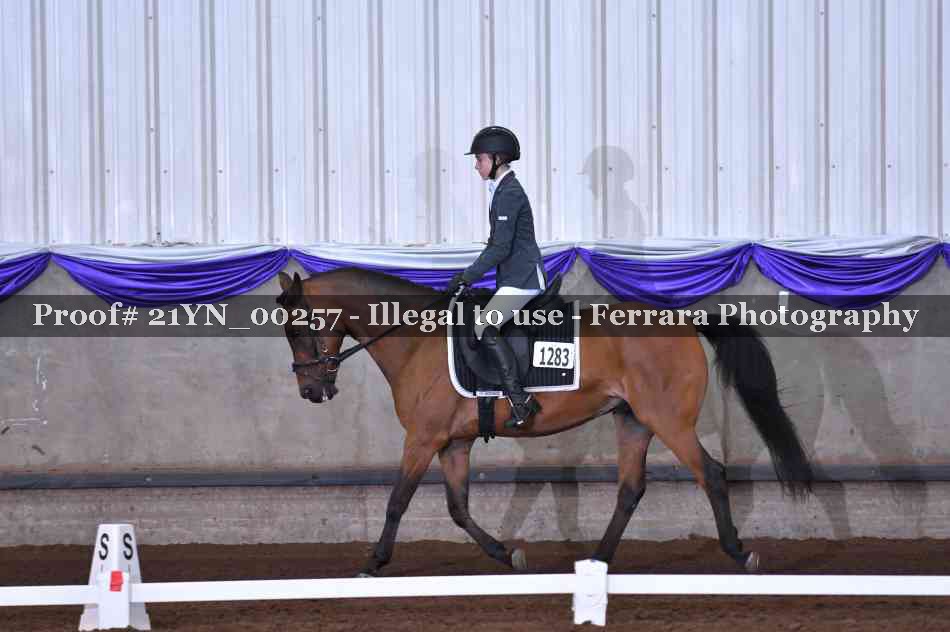 Proof 21YN_00257