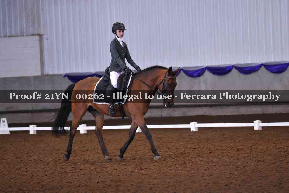 Proof 21YN_00262