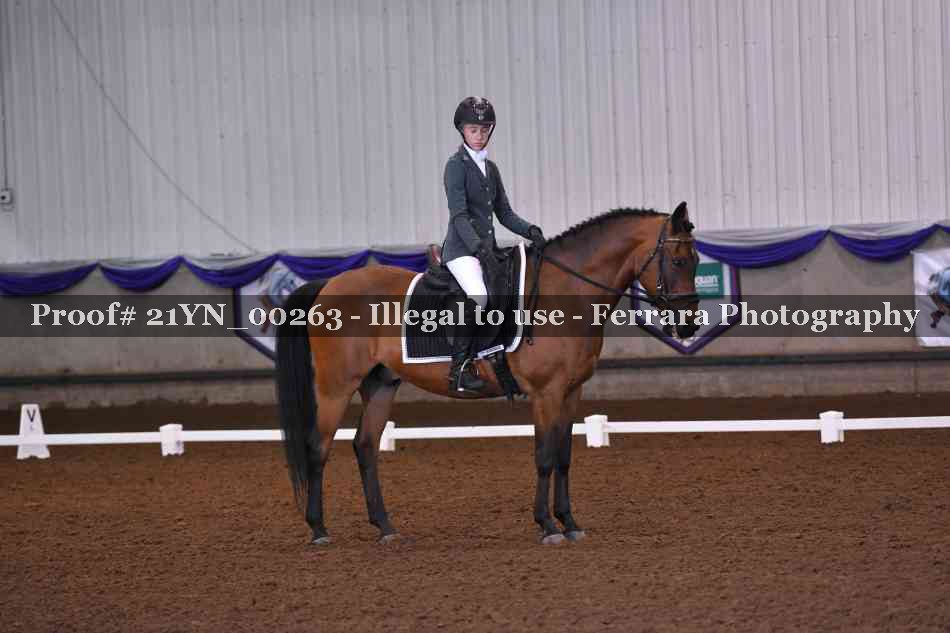 Proof 21YN_00263