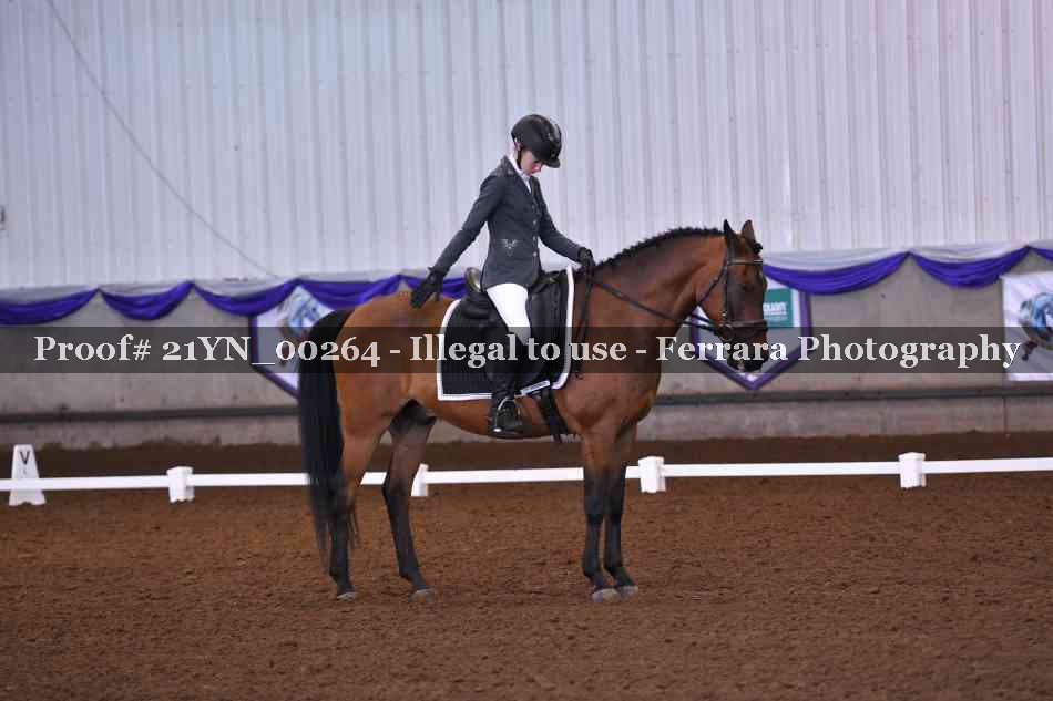 Proof 21YN_00264