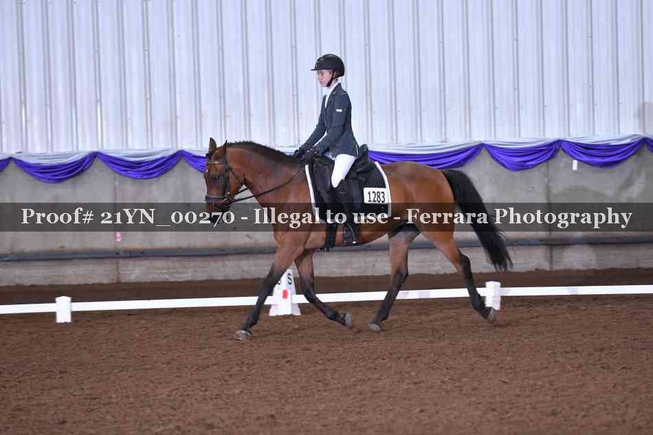 Proof 21YN_00270