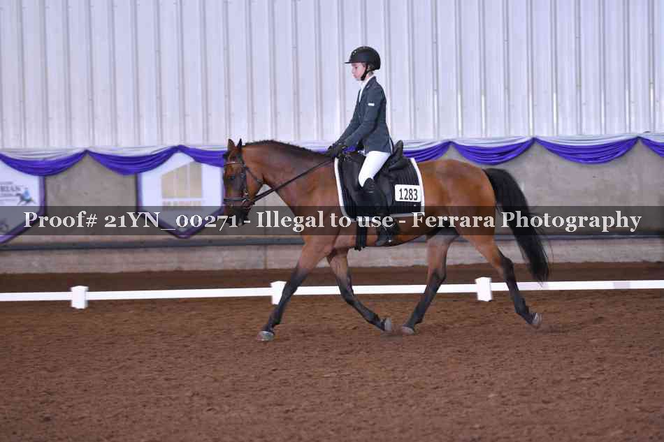 Proof 21YN_00271