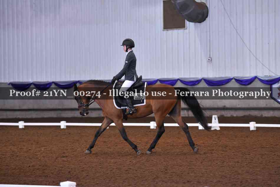Proof 21YN_00274
