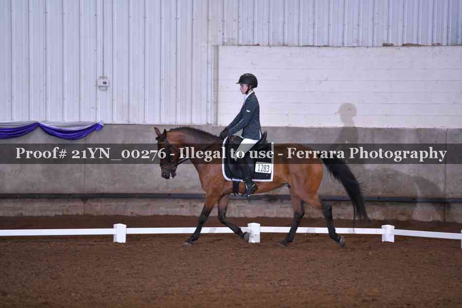 Proof 21YN_00276