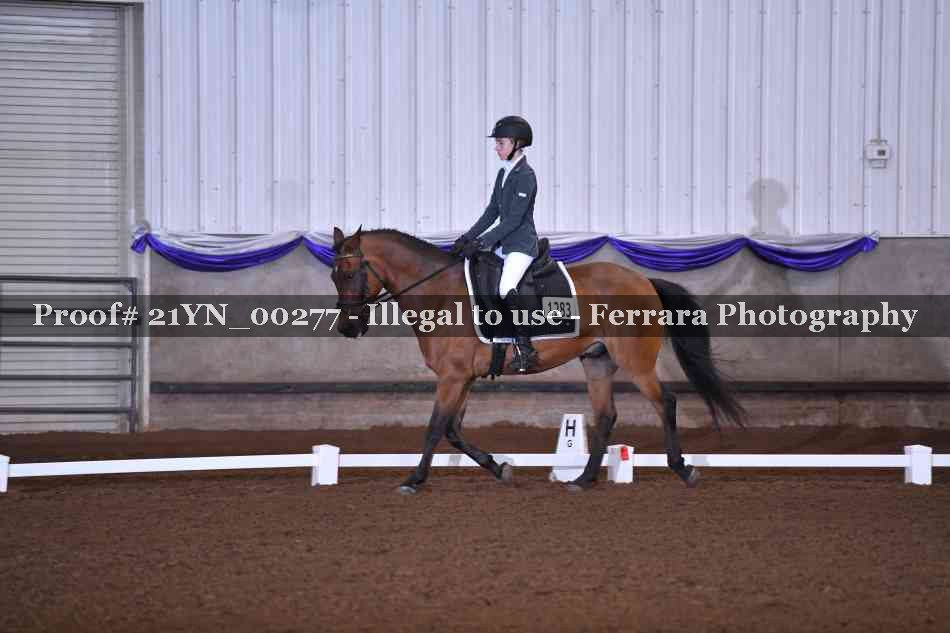 Proof 21YN_00277