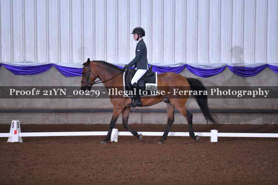 Proof 21YN_00279