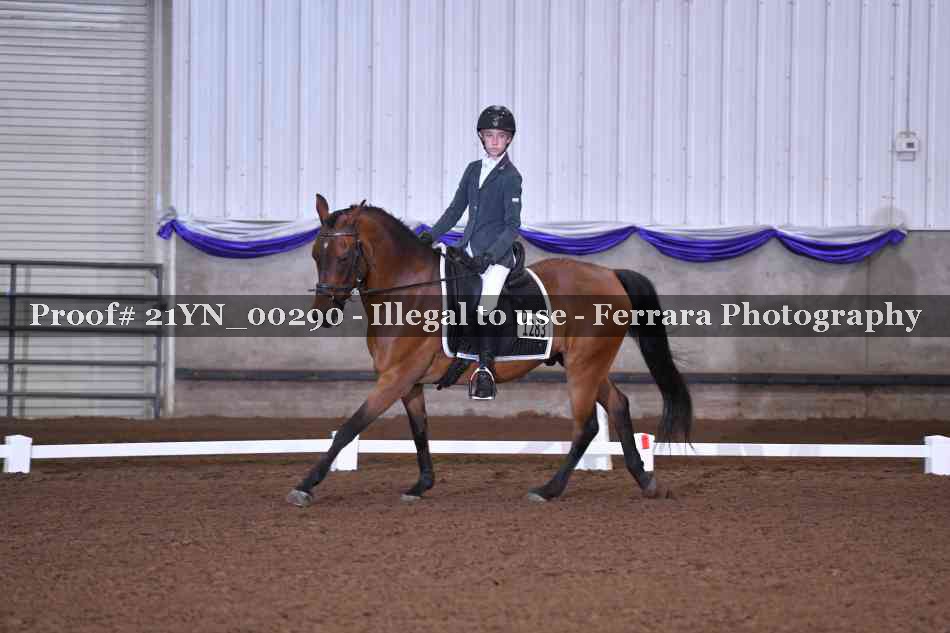 Proof 21YN_00290