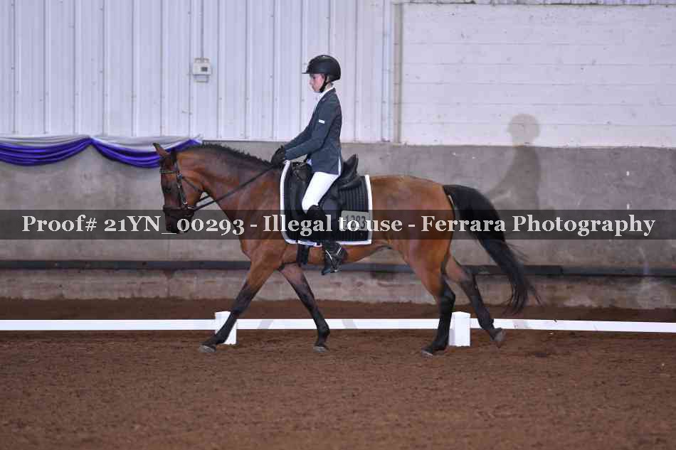 Proof 21YN_00293