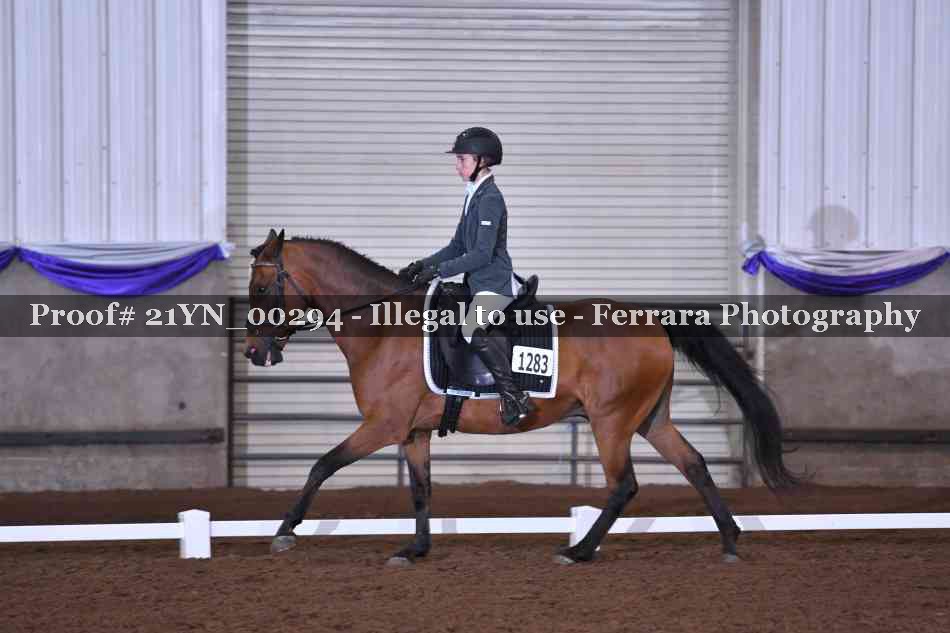 Proof 21YN_00294