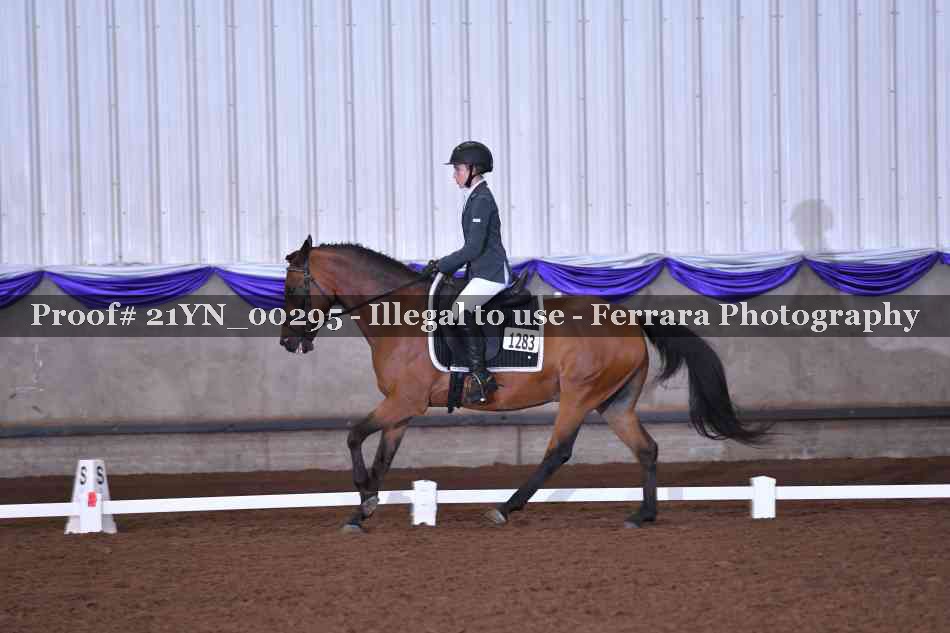 Proof 21YN_00295