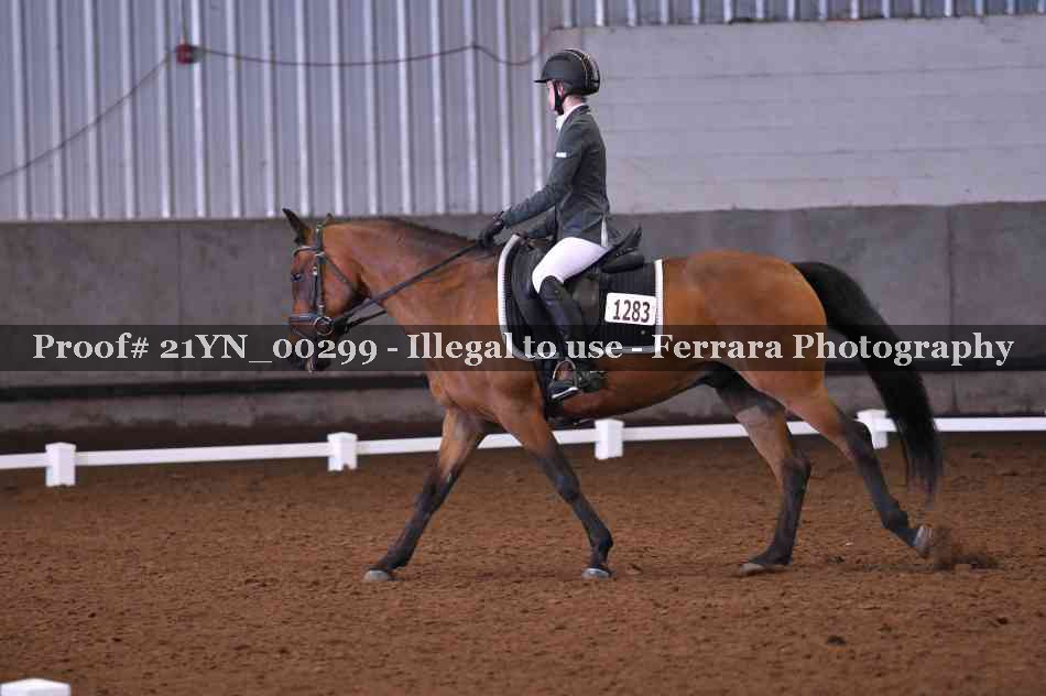 Proof 21YN_00299