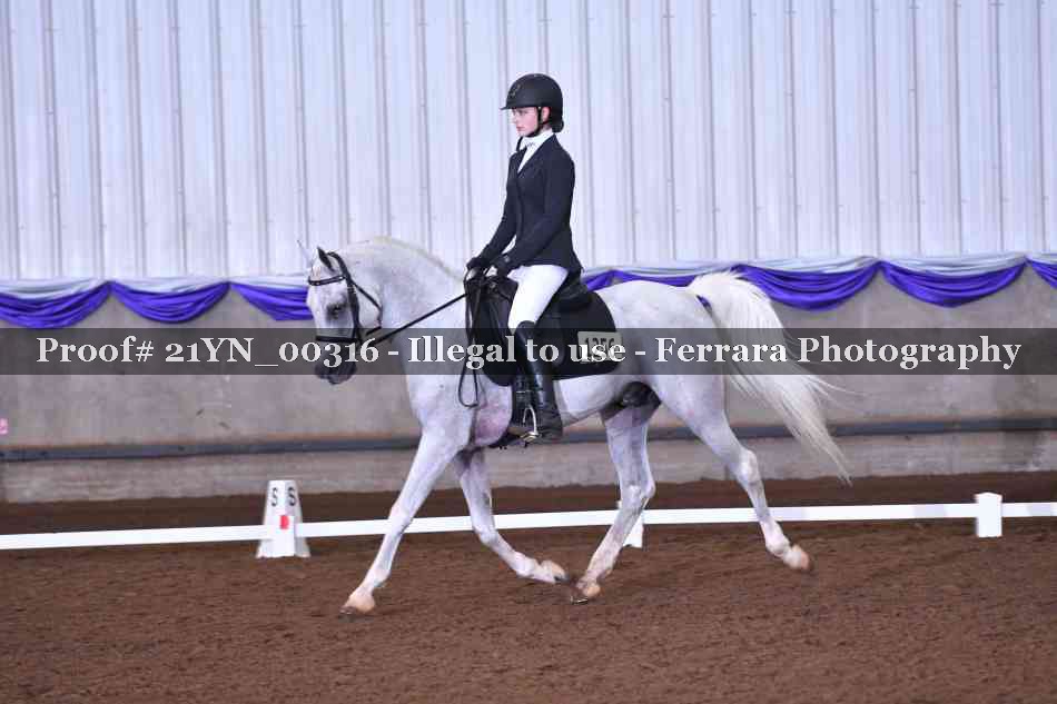 Proof 21YN_00316
