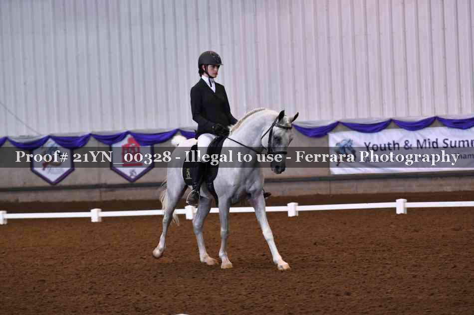 Proof 21YN_00328