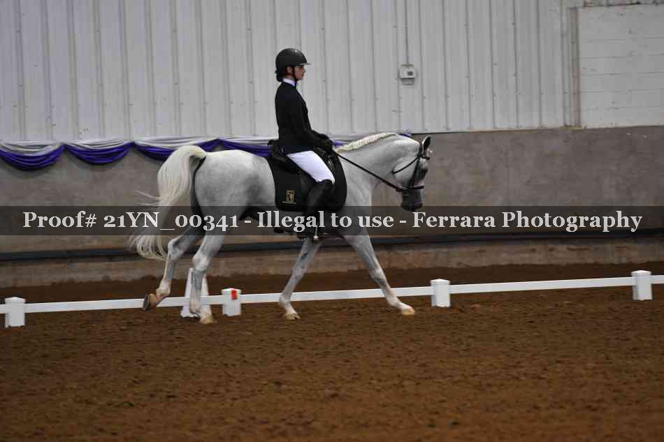 Proof 21YN_00341