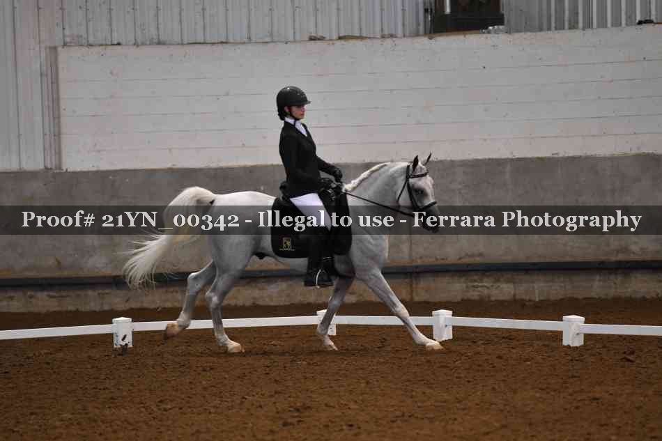 Proof 21YN_00342