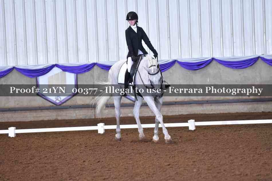 Proof 21YN_00377
