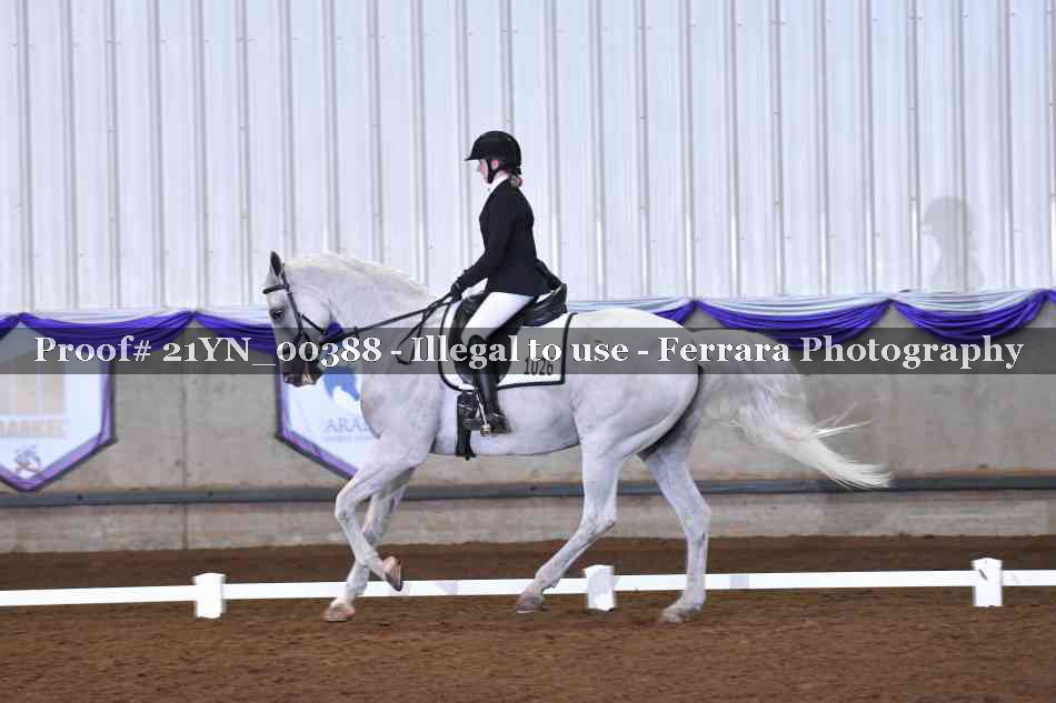 Proof 21YN_00388