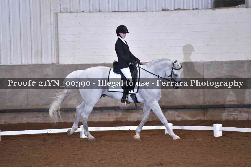 Proof 21YN_00390