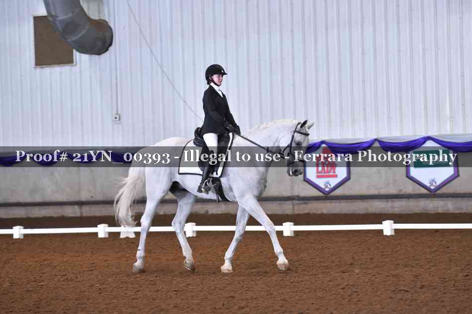 Proof 21YN_00393