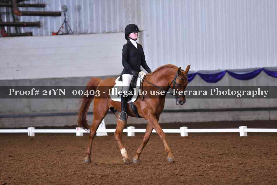 Proof 21YN_00403