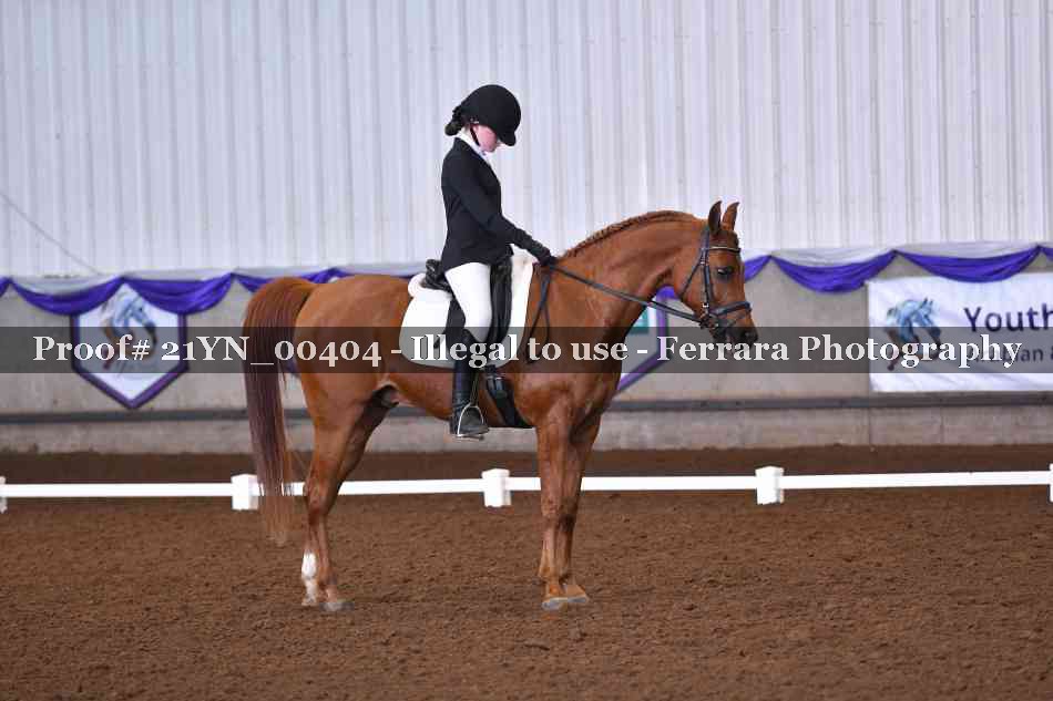 Proof 21YN_00404