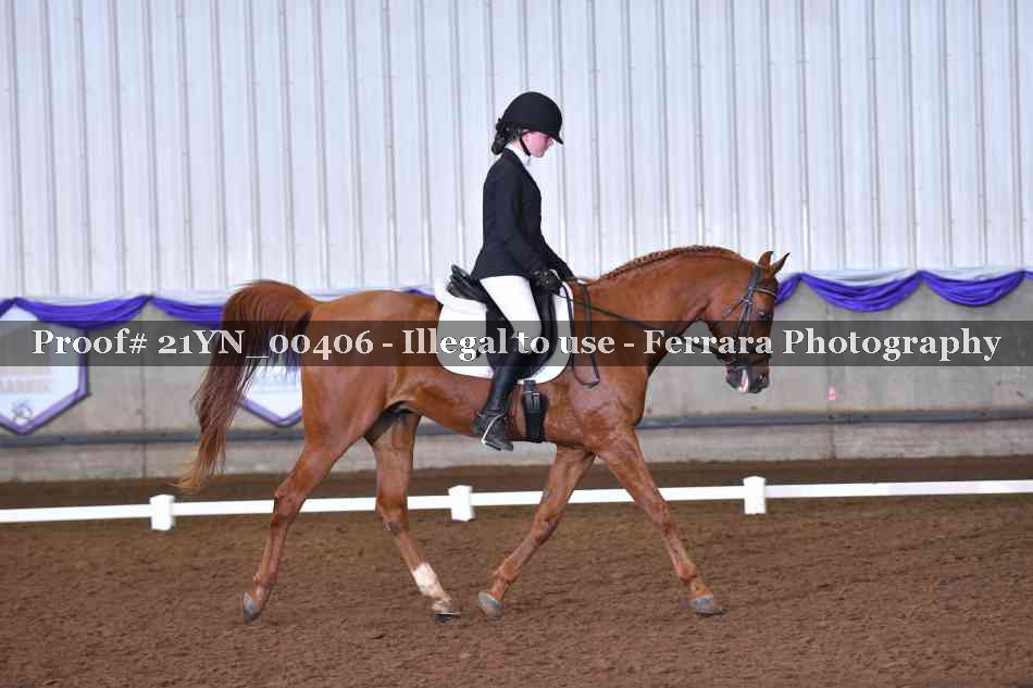 Proof 21YN_00406
