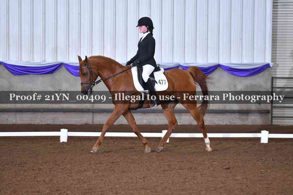 Proof 21YN_00409