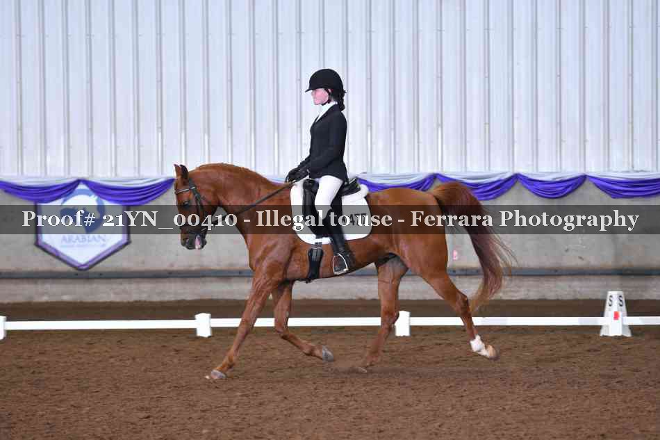 Proof 21YN_00410
