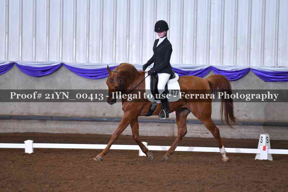 Proof 21YN_00413