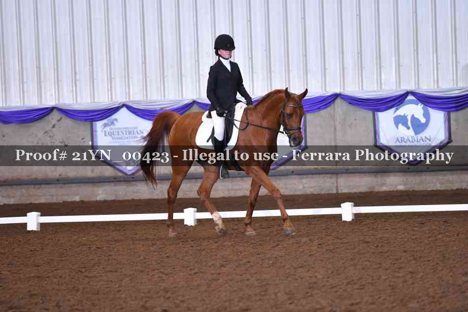 Proof 21YN_00423