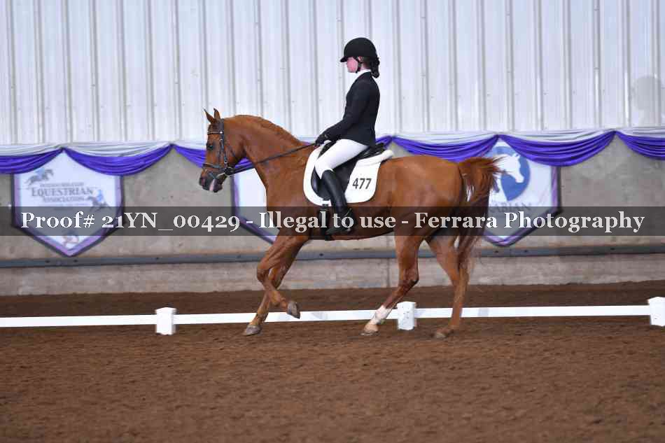 Proof 21YN_00429