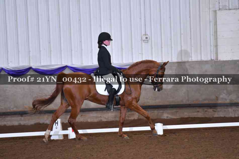 Proof 21YN_00432