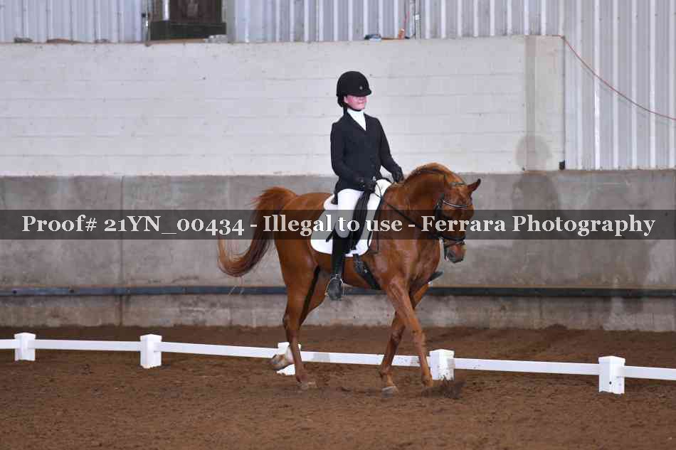 Proof 21YN_00434