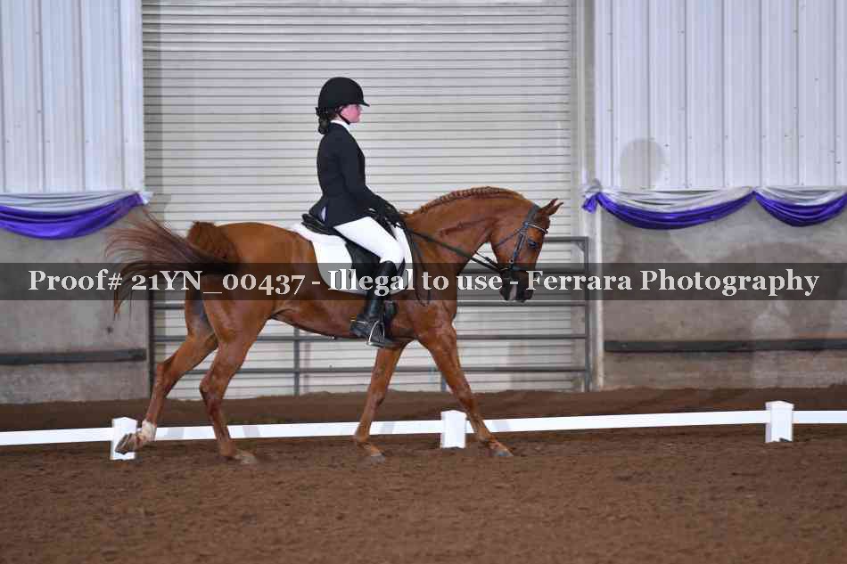 Proof 21YN_00437