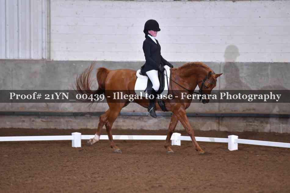 Proof 21YN_00439