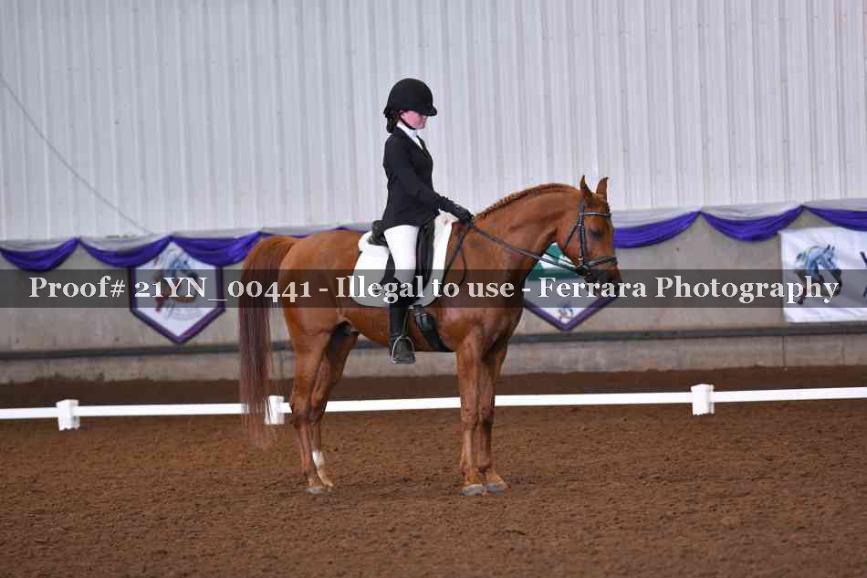 Proof 21YN_00441
