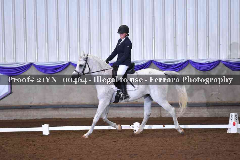 Proof 21YN_00464