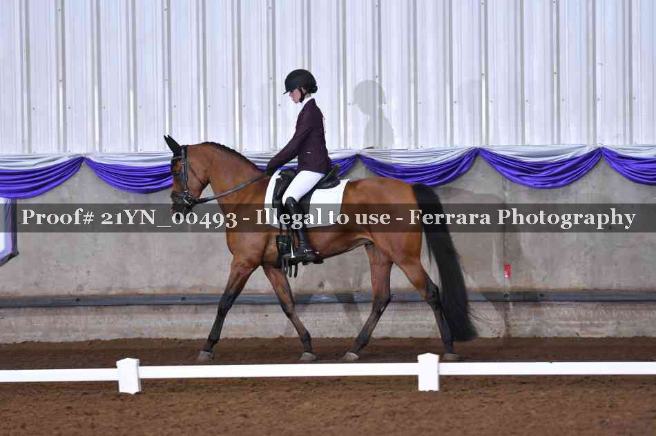 Proof 21YN_00493