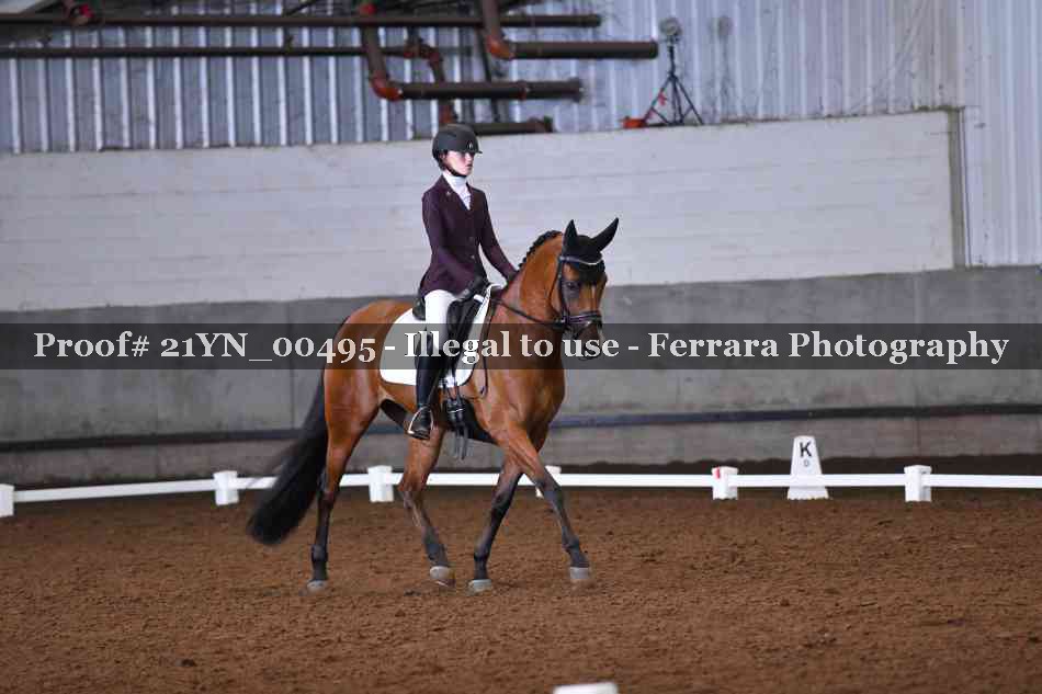 Proof 21YN_00495