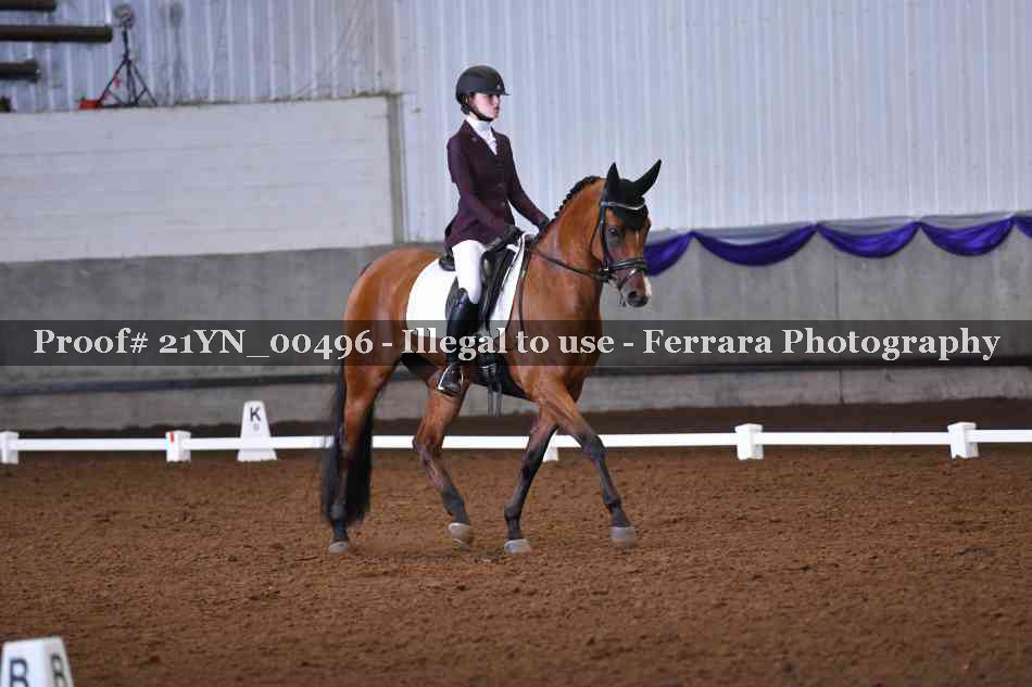 Proof 21YN_00496