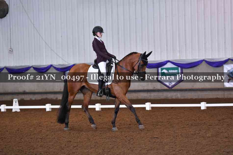 Proof 21YN_00497