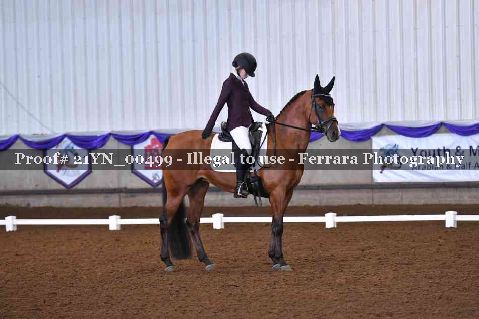 Proof 21YN_00499